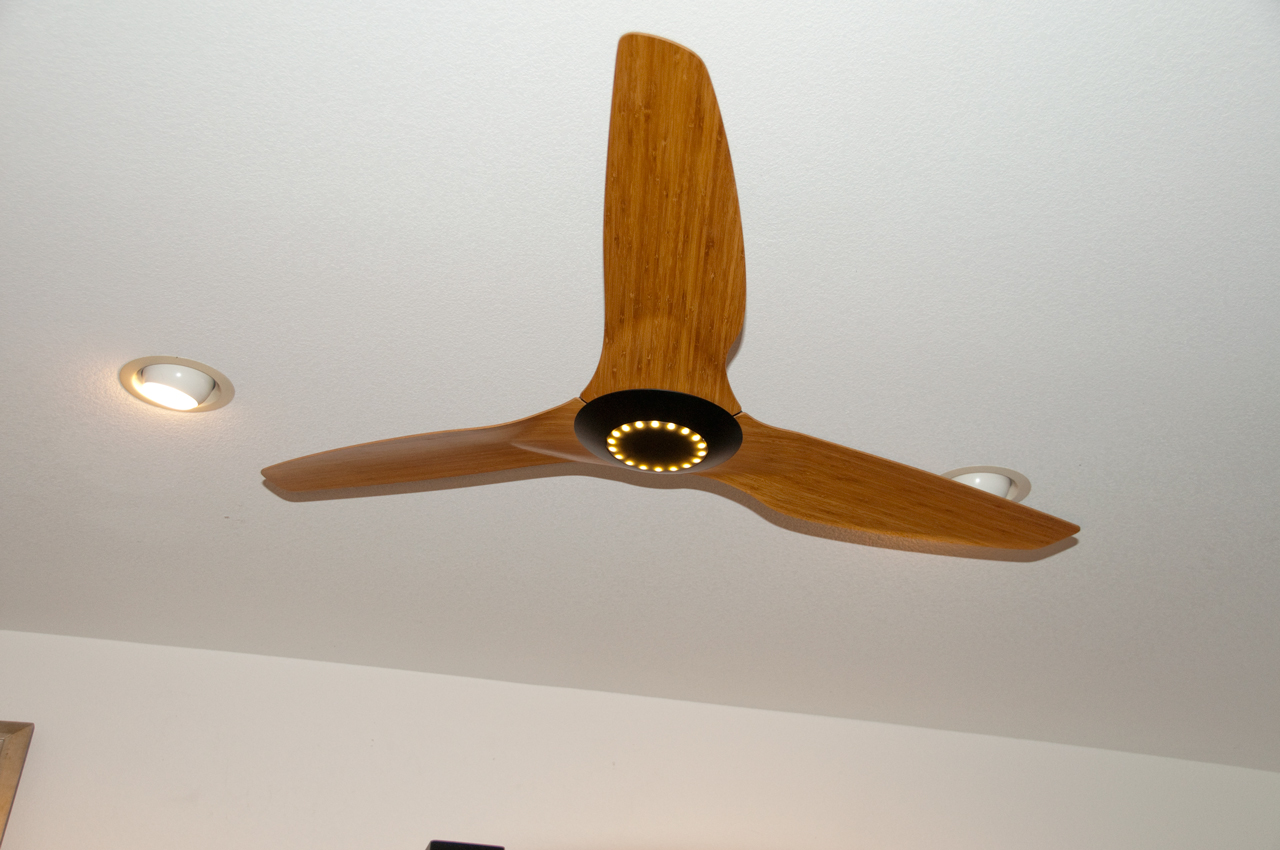 big ceiling fans photo - 5