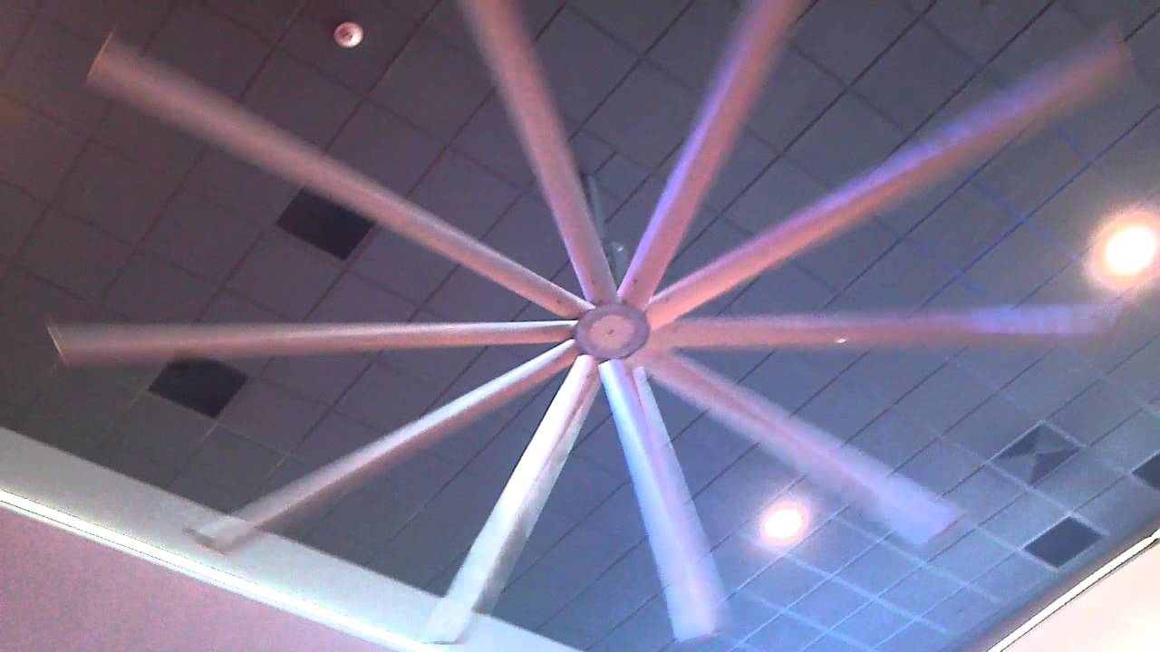 biggest ceiling fan photo - 1