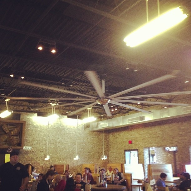 biggest ceiling fan photo - 8