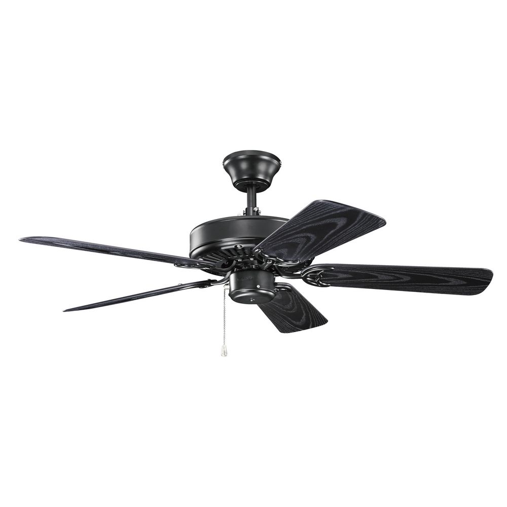 black ceiling fan light photo - 4