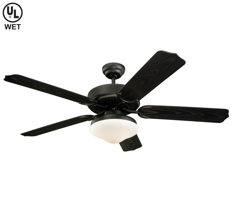 black ceiling fans photo - 4