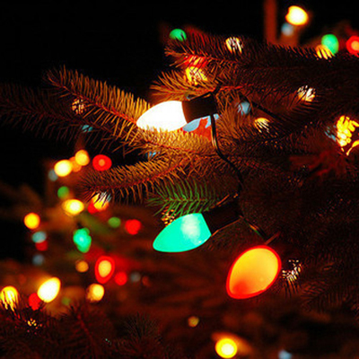 c9 outdoor christmas lights photo - 9