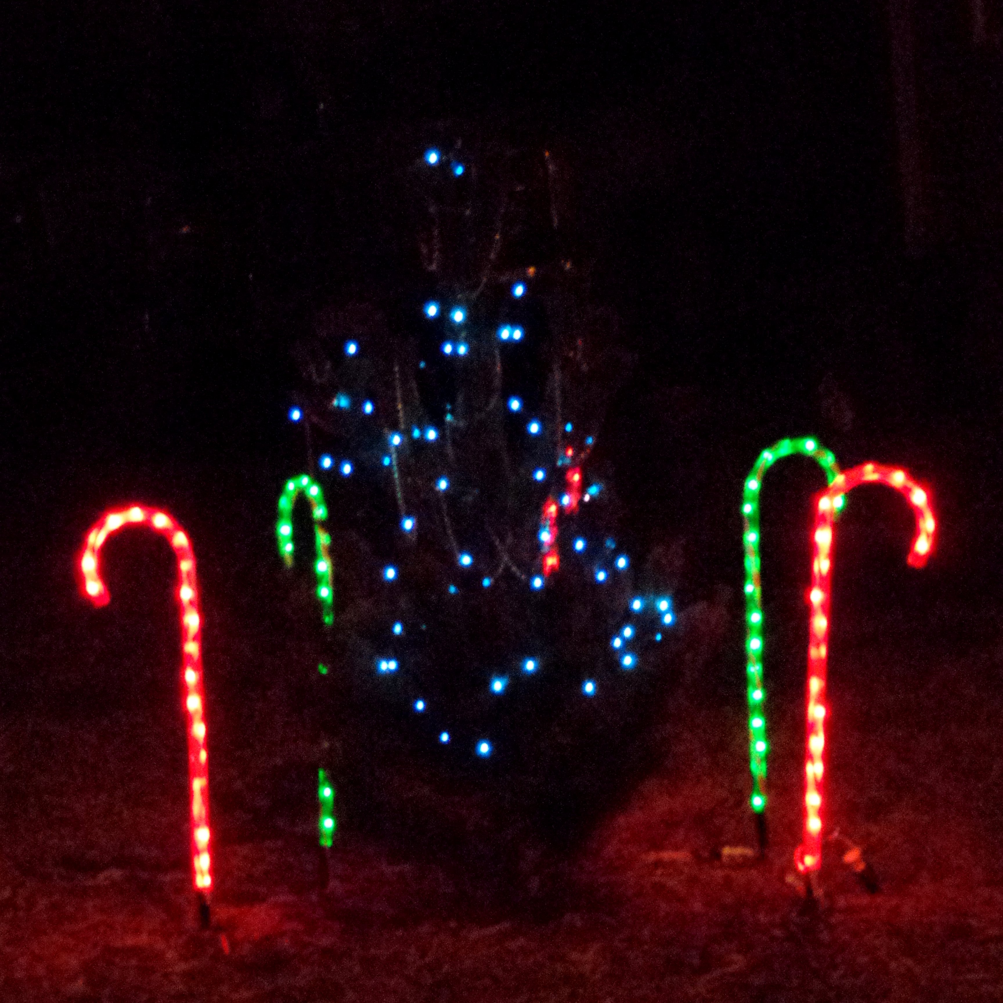 candy cane outdoor lights photo - 3