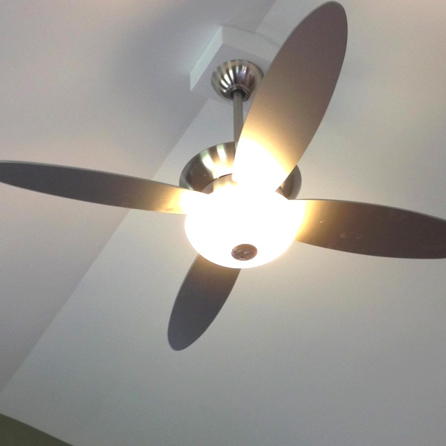 cathedral ceiling fans photo - 4
