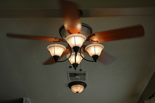 ceiling fan for dining room photo - 2