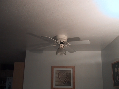 ceiling fan for dining room photo - 7