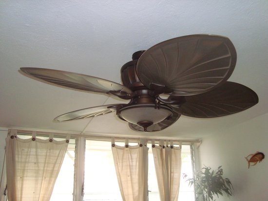 living room fan and light brass