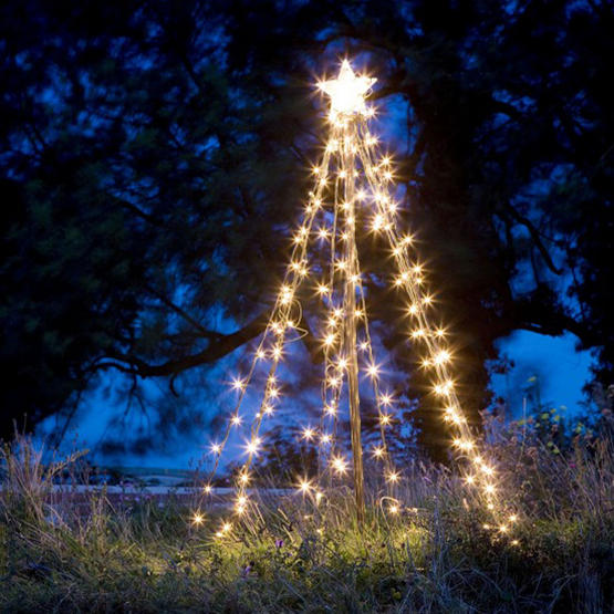 christmas light trees outdoor photo - 3