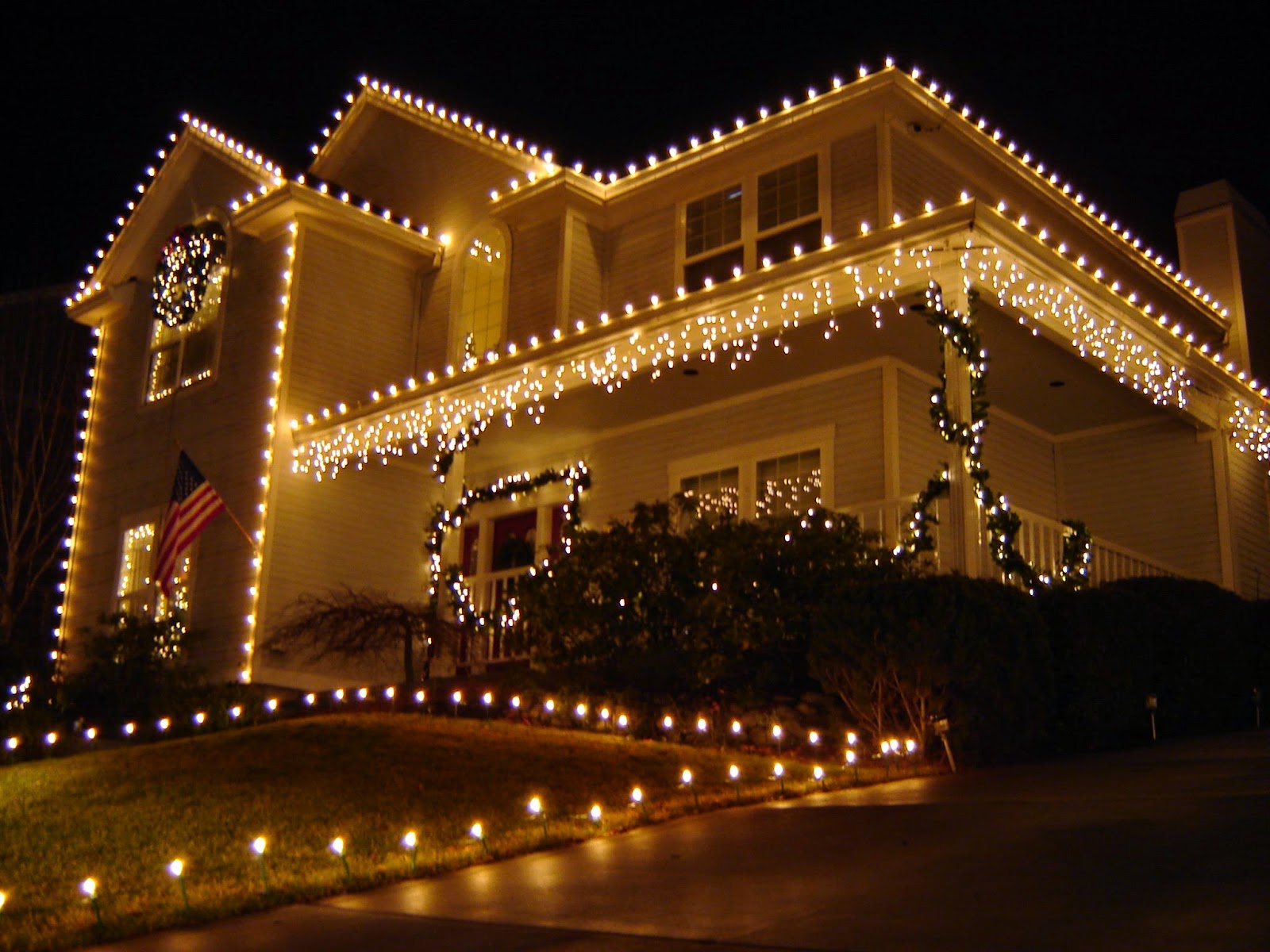 christmas light trees outdoor photo - 9