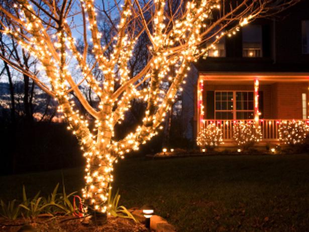 christmas lights on outdoor trees photo - 5