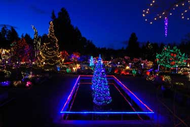 christmas lights outdoor led photo - 4