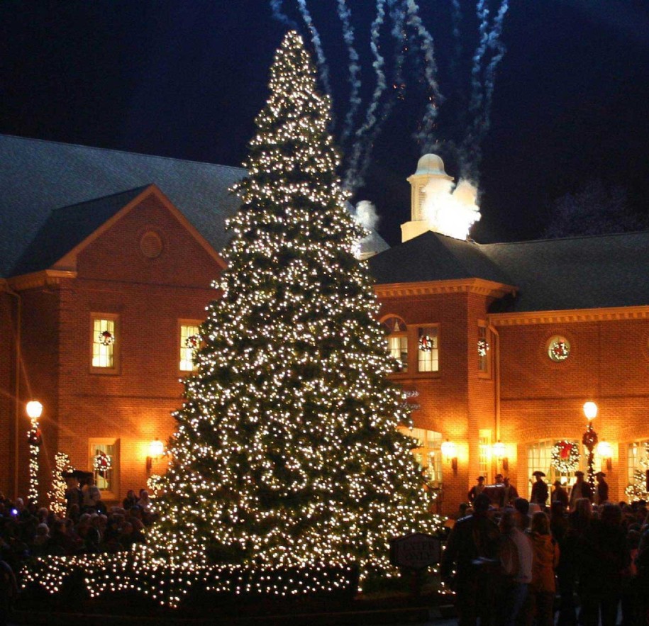 large outdoor xmas tree lights