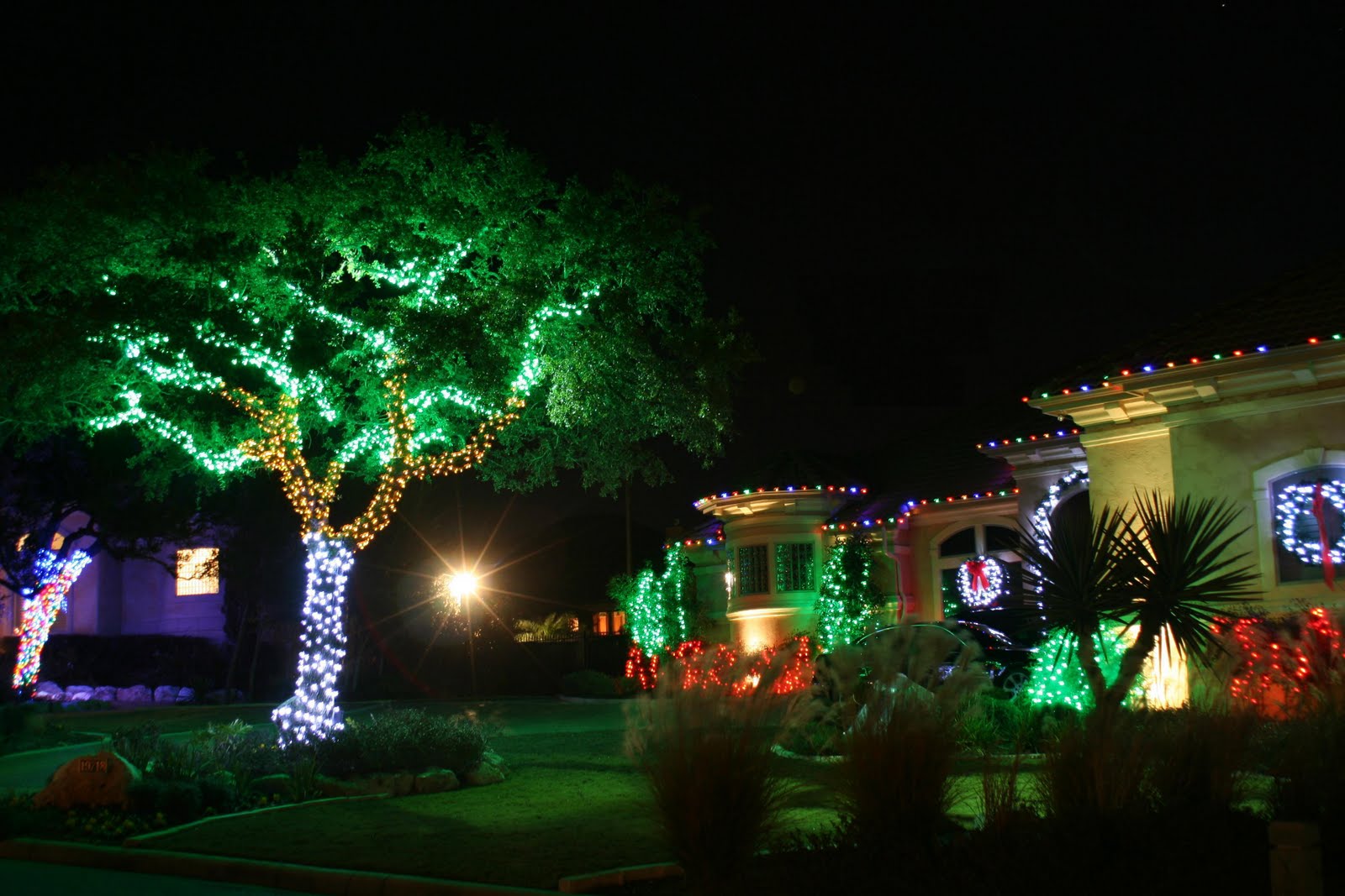 christmas outdoor light photo - 2