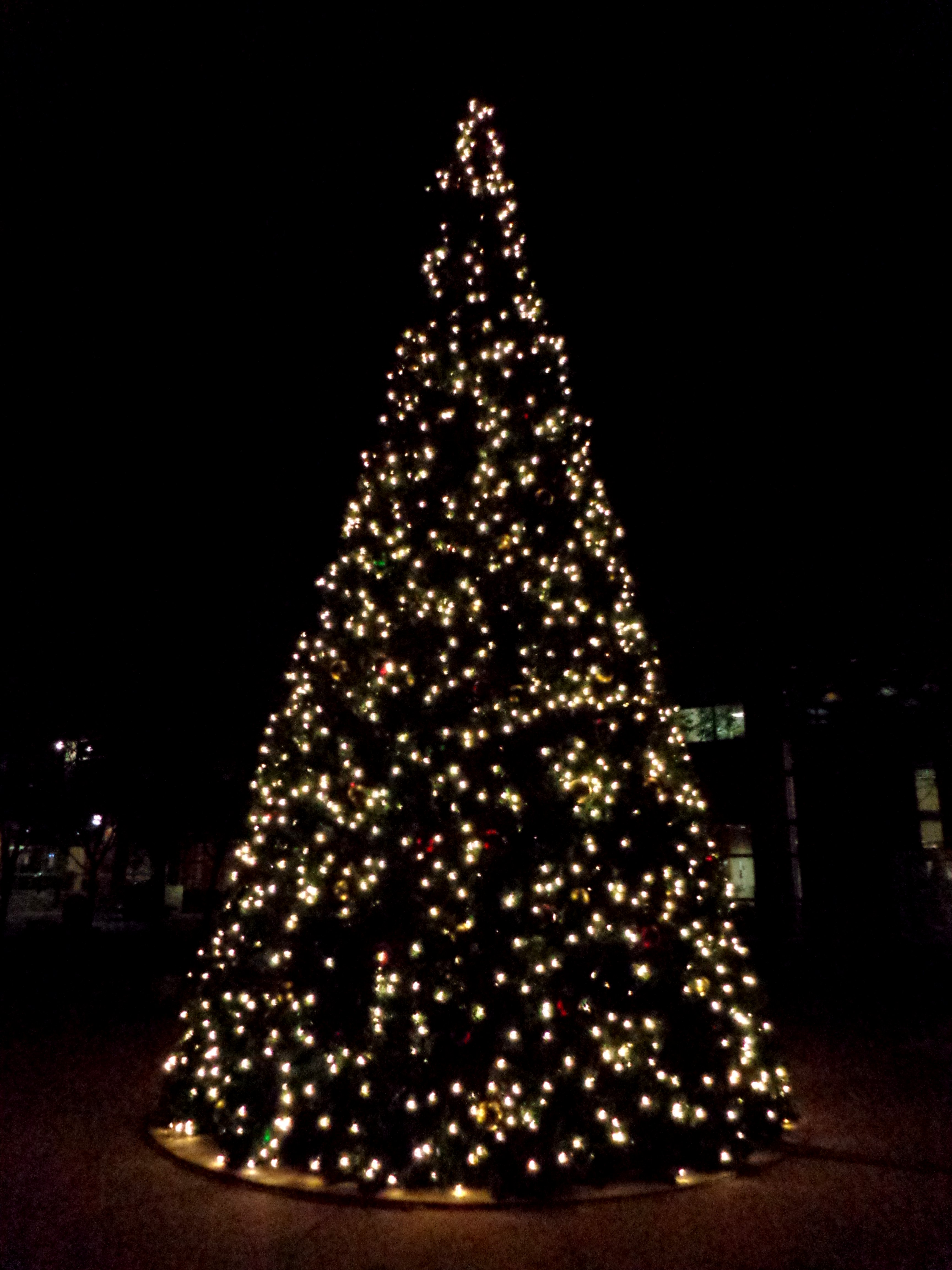 christmas tree made of lights on wall photo - 5