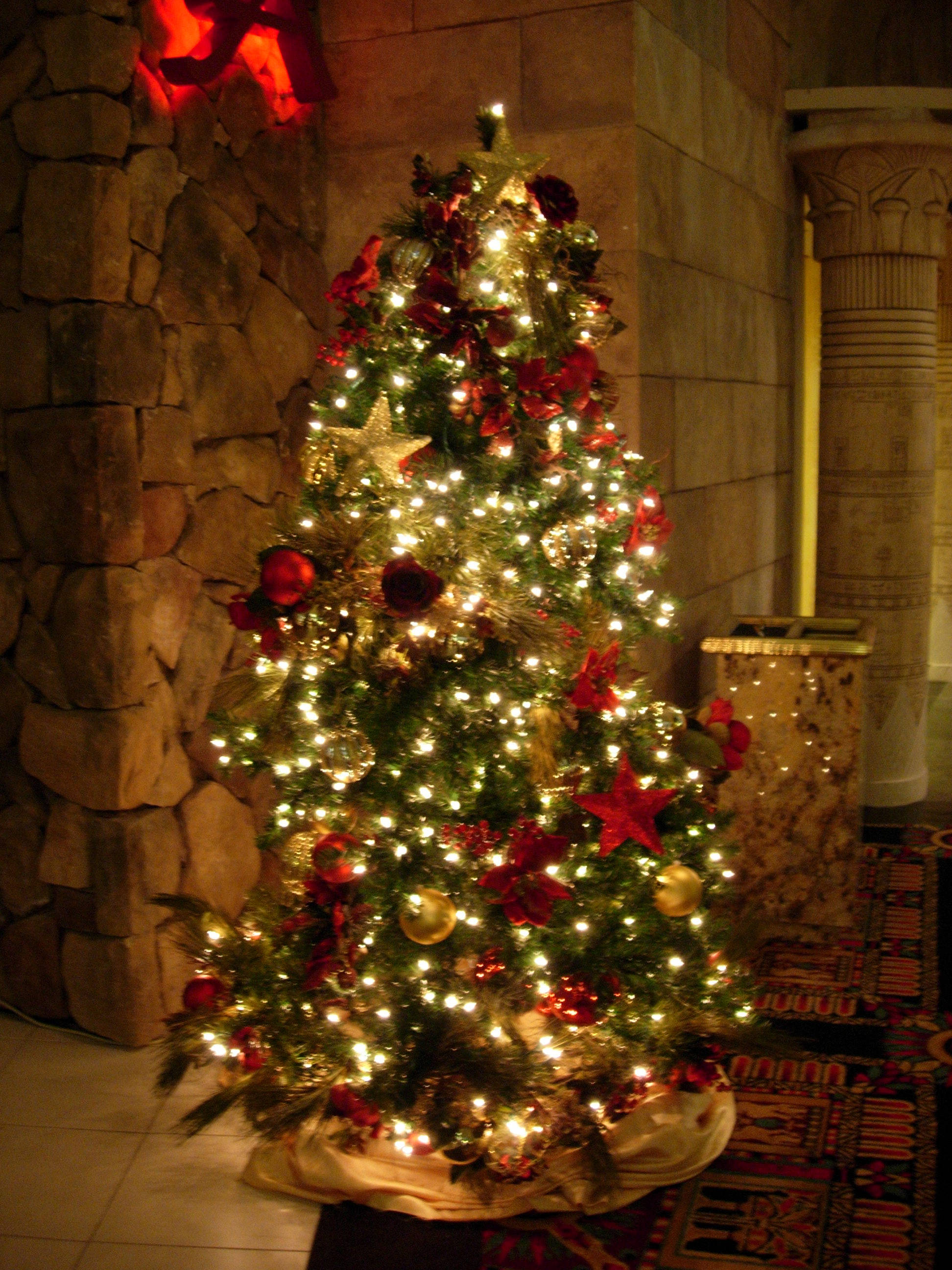 christmas tree of lights on wall photo - 1