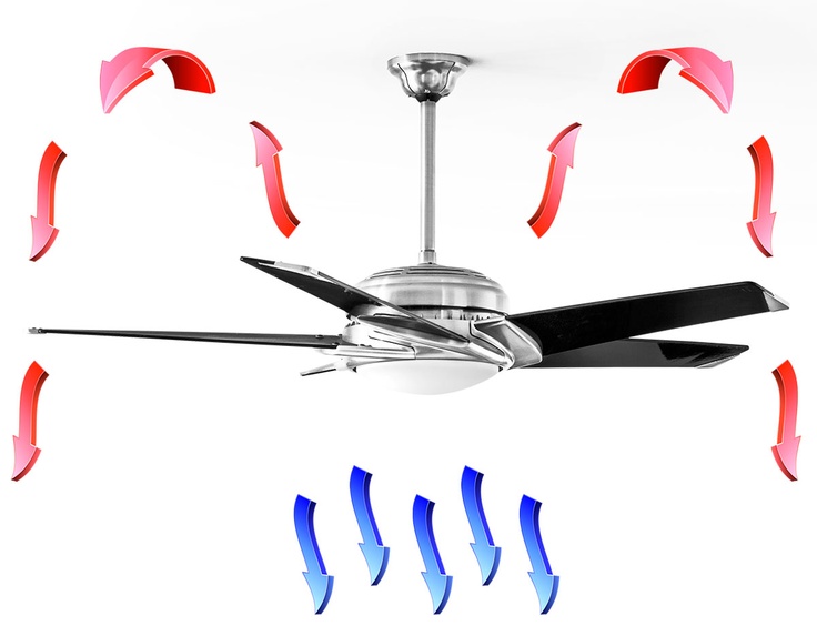 Which Direction Should Ceiling Fan Blades Go In Summer Sante Blog What Direction Should Ceiling Fan Blades Go In The Summer