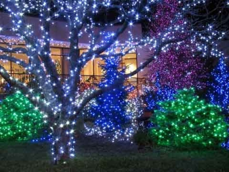 colored outdoor christmas lights photo - 7