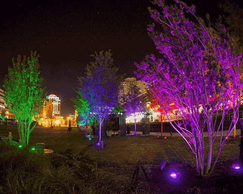 colored outdoor lights photo - 3