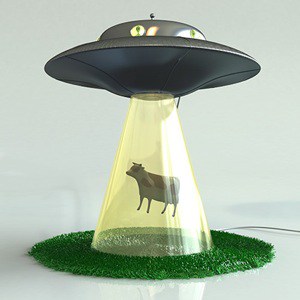 cow abduction lamp photo - 4