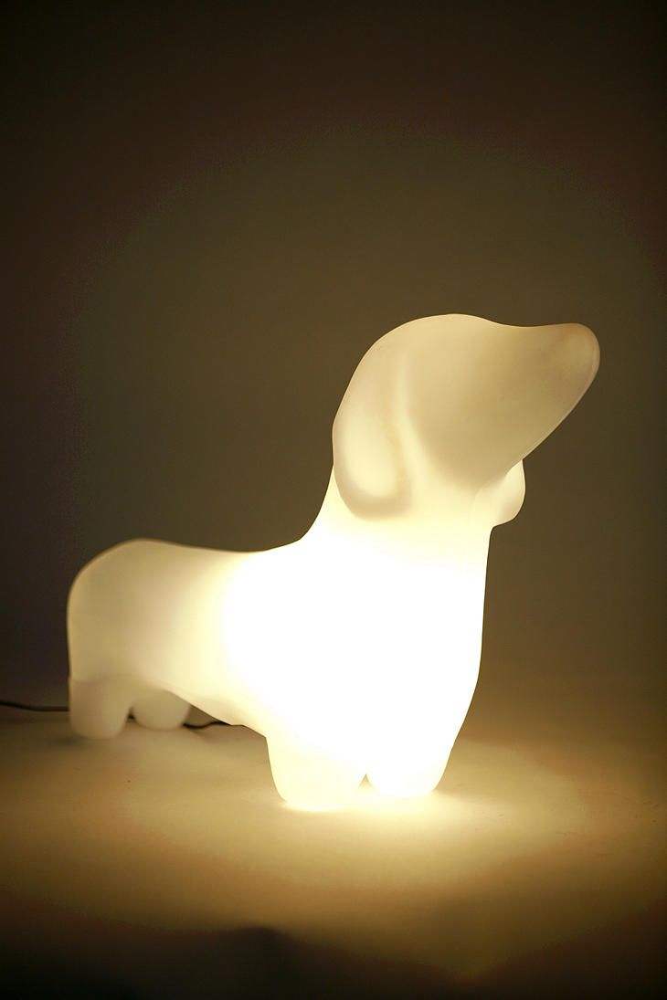 dachshund lamp photo - 9