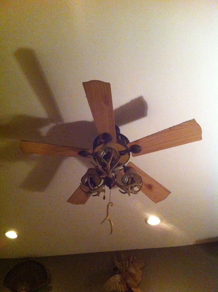 Deer Antler Ceiling Fans Best One For Your Home Warisan