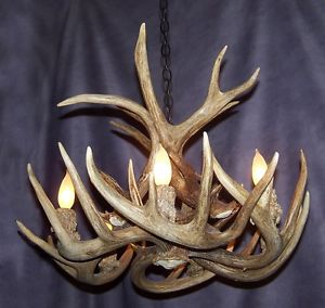 deer antler lamps photo - 8