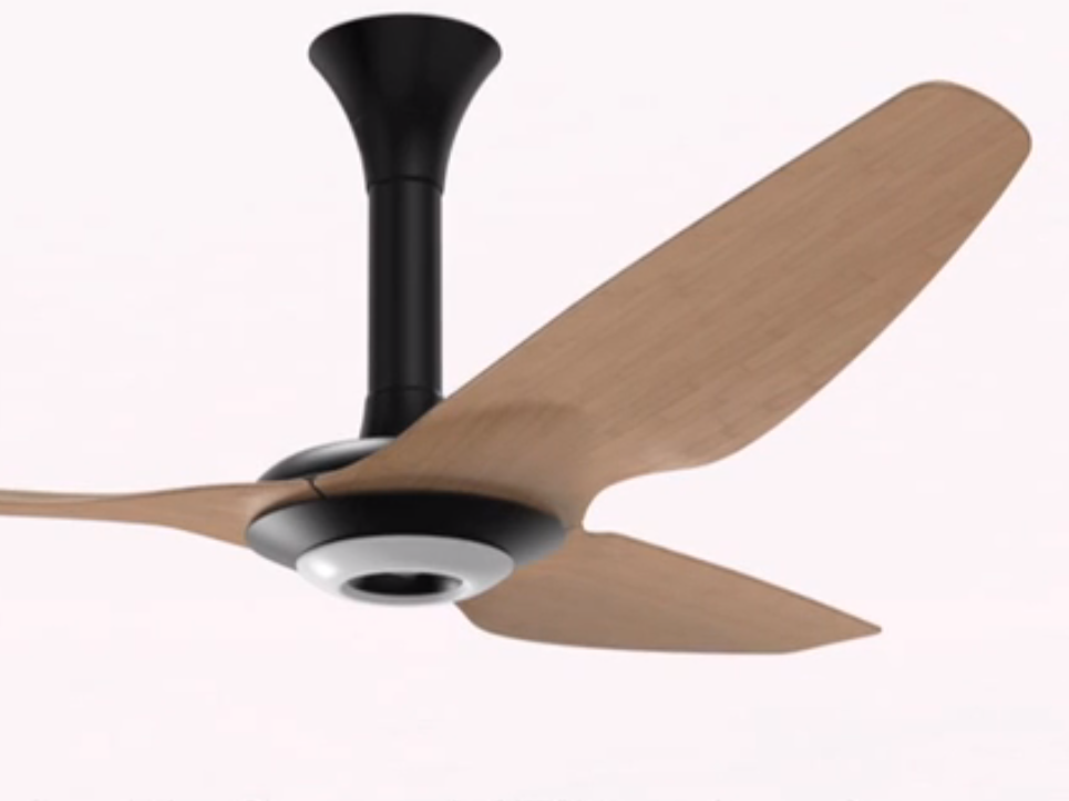 design ceiling fans photo - 2