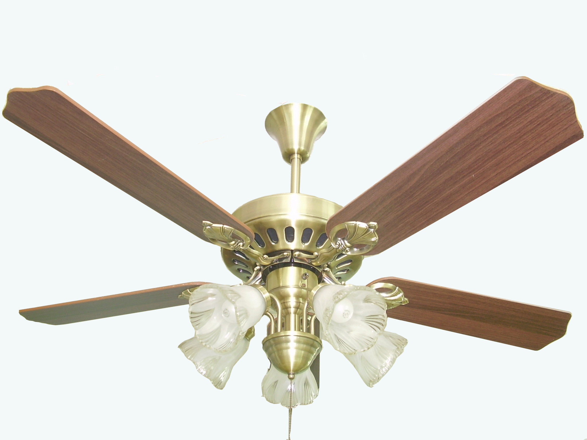 electric ceiling fans photo - 4