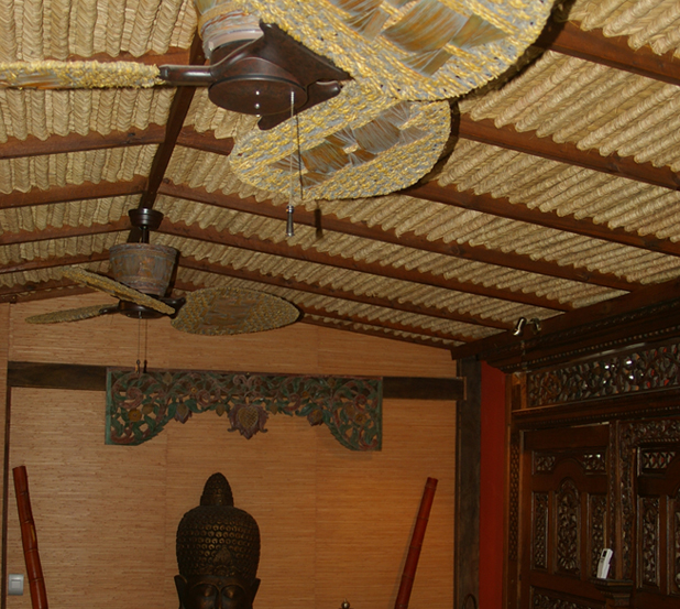 exotic ceiling fans photo - 8
