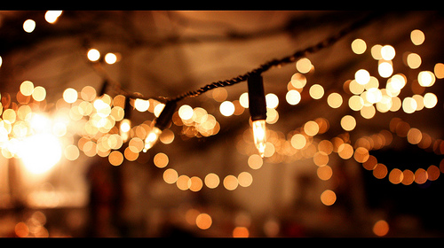 fairy lights outdoor photo - 10