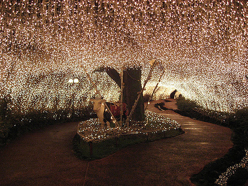 fairy lights outdoor photo - 4