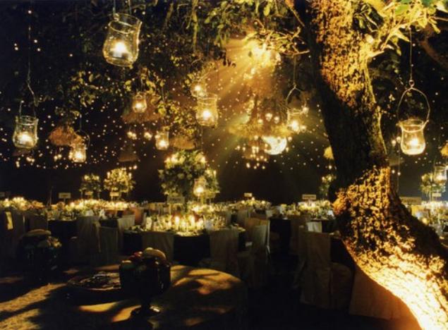 fairy lights outdoor photo - 6