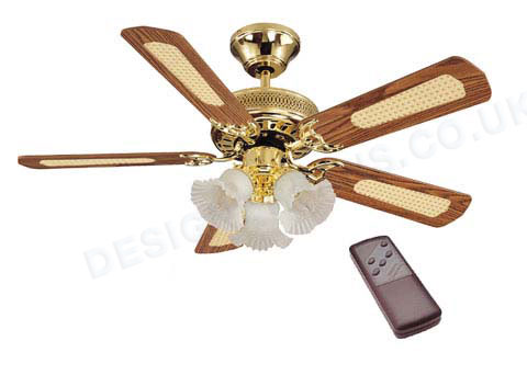 fan ceiling lights photo - 7