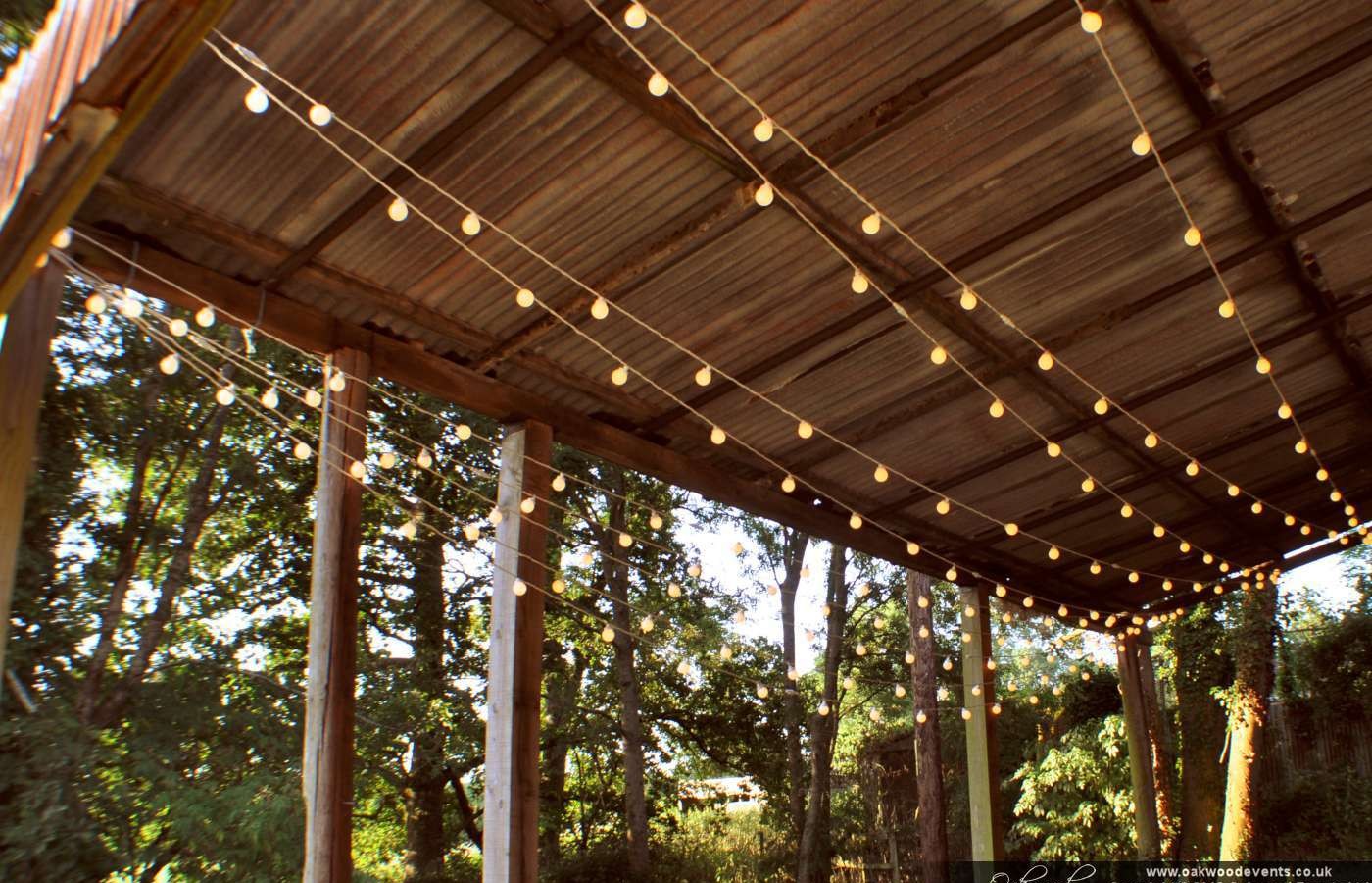 festoon lights outdoor photo - 10