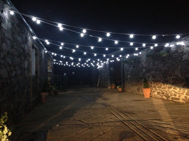 festoon lights outdoor photo - 6