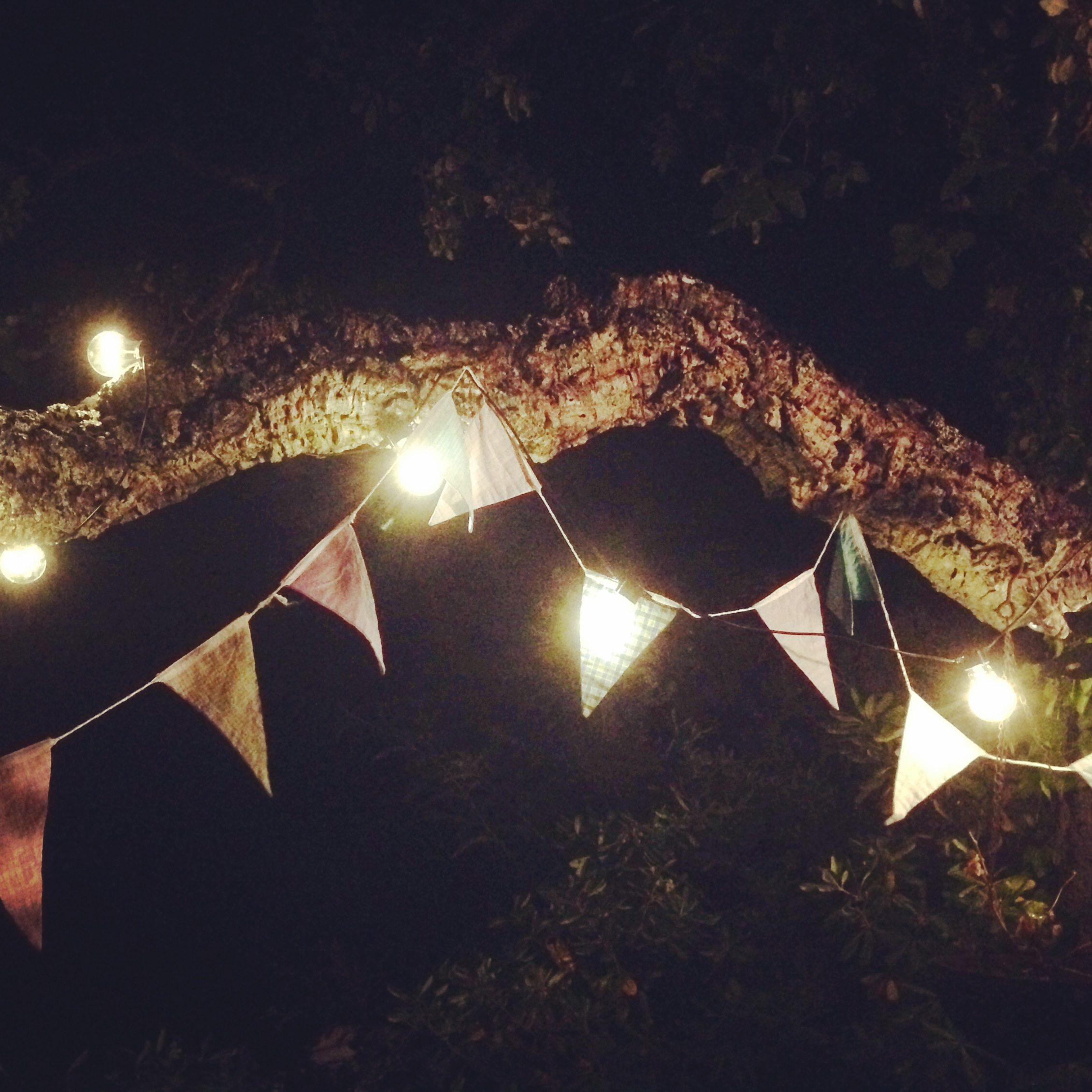 festoon lights outdoor photo - 7