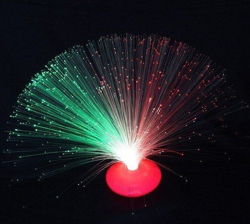 fiber optic flower lamp photo - 4