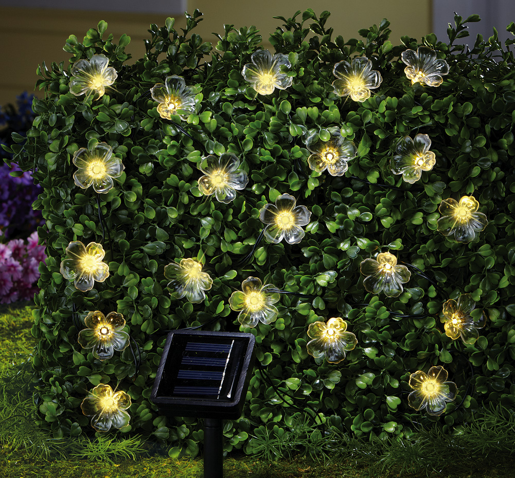 garden outdoor lights photo - 10