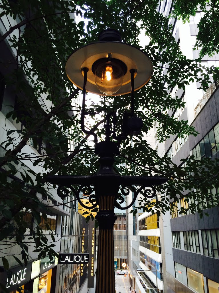 gas street lamps photo - 2