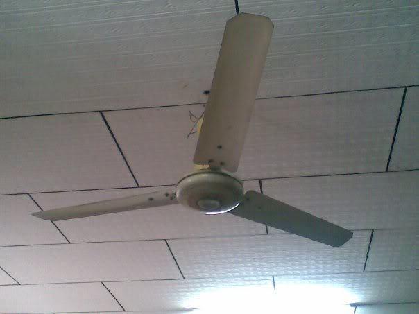 gec ceiling fans photo - 8