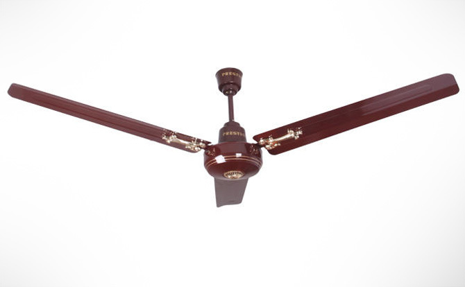 giant ceiling fans photo - 2