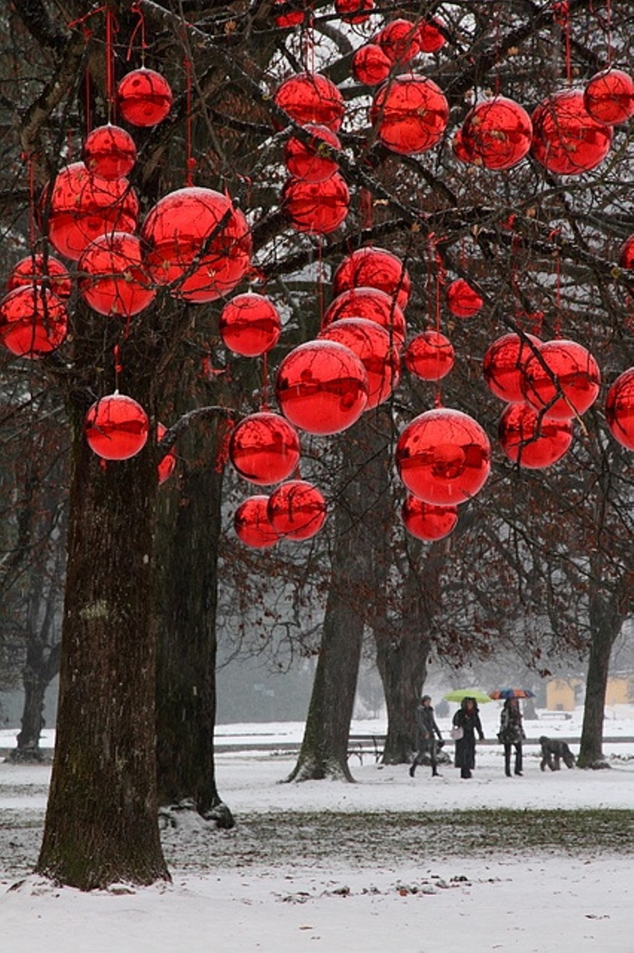 giant outdoor christmas lights photo - 8