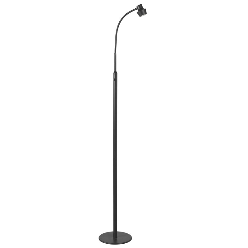 gooseneck floor lamps photo - 1