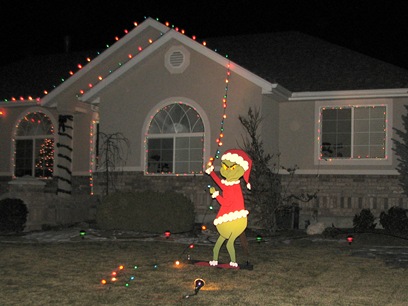 grinch christmas lights outdoor photo - 4