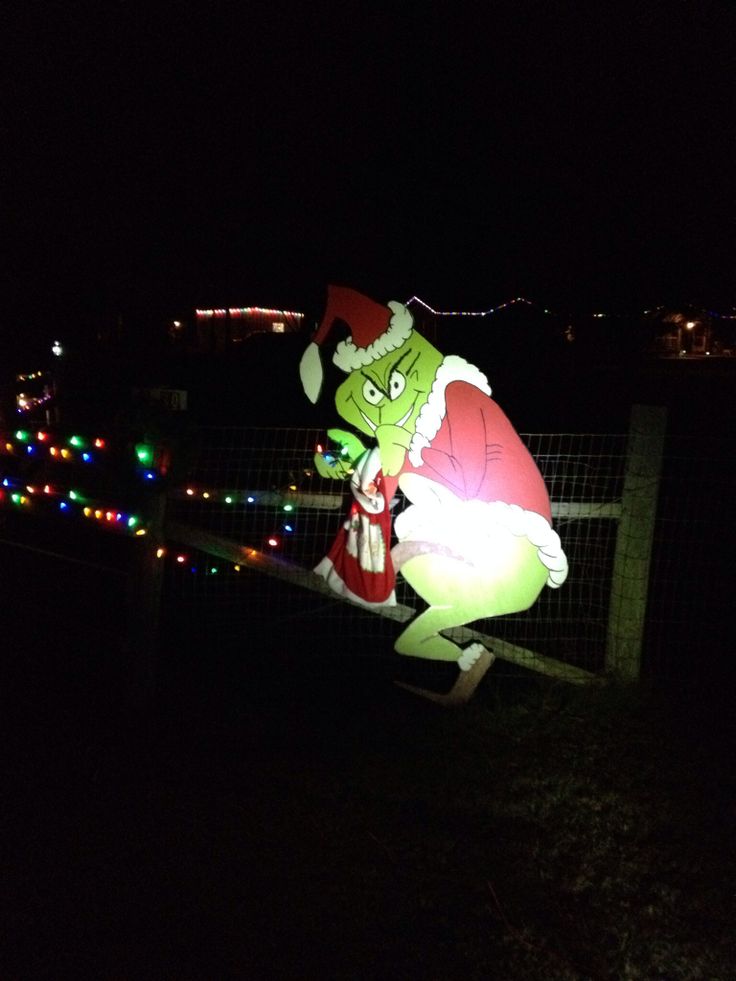 grinch christmas lights