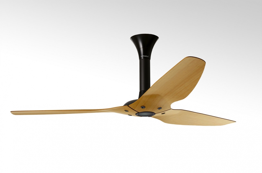 Experience The Best Services With Haiku Ceiling Fans Warisan