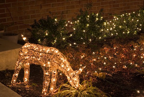 hang outdoor christmas lights photo - 9