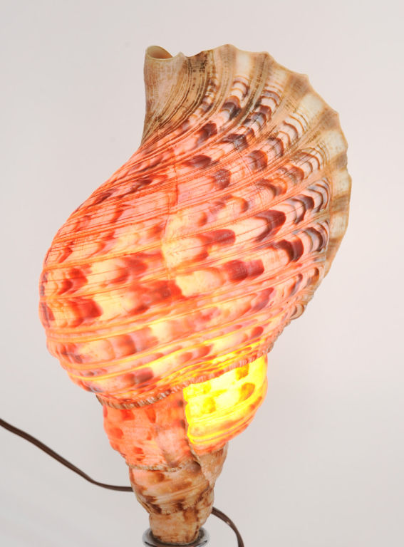 hawaiian lamps photo - 4