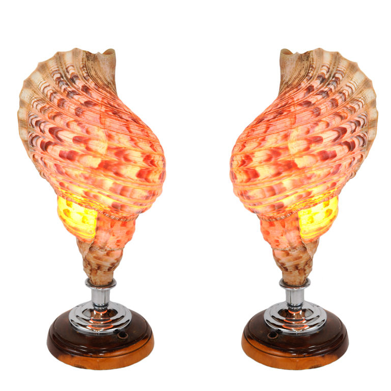 hawaiian lamps photo - 5