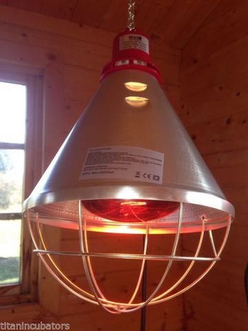 heat lamp photo - 1